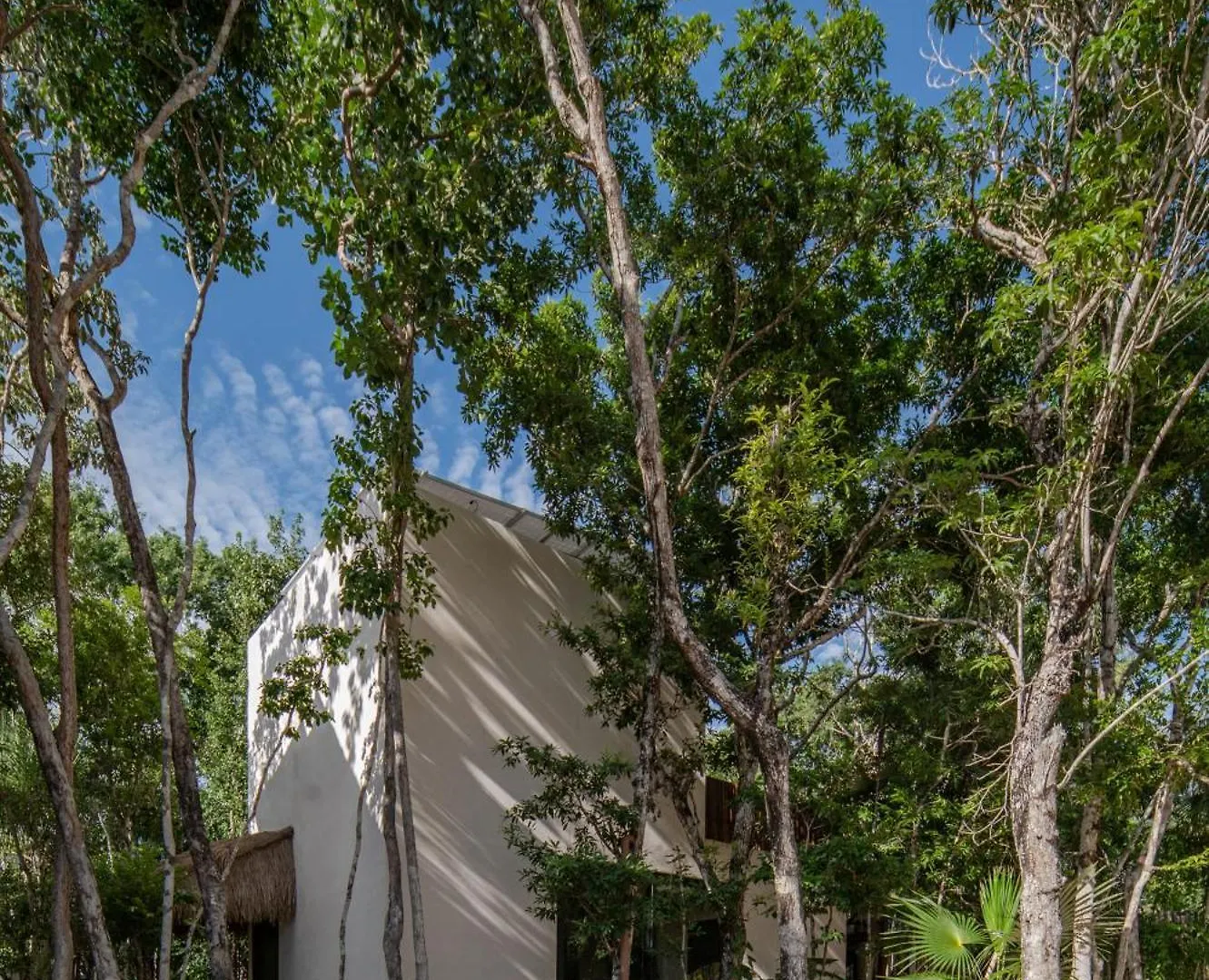 Eco-Friendly Bungalows En La Selva De Tulum